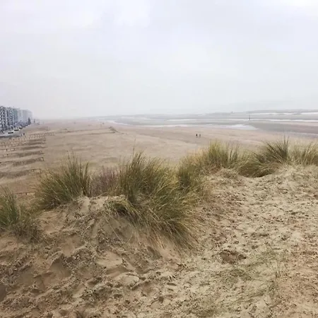 Fibi Centrally Located In Villa Koksijde
